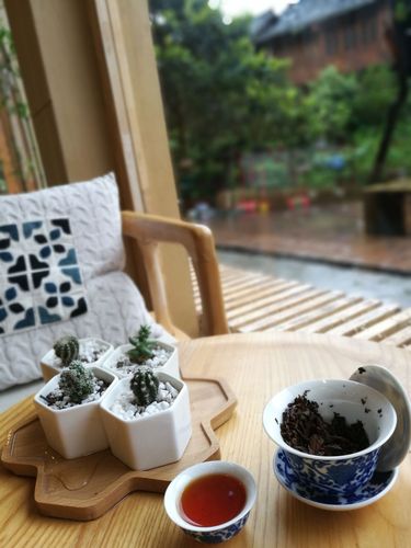 眼前金骏眉  窗外苍筑翠 喝茶看书听雨