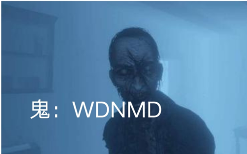 恐鬼症全地图无敌位可用于拍鬼妈妈再也不用担心我不会遛鬼了