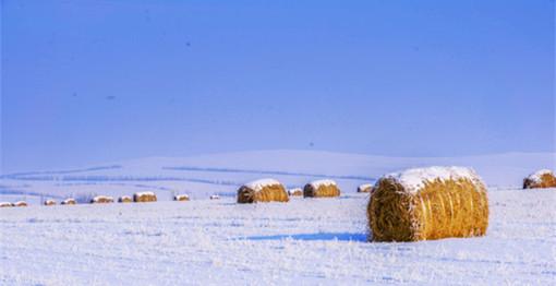 冬季没有了夏天的绿色清爽,没有了秋天的收获金黄,而是一望无际