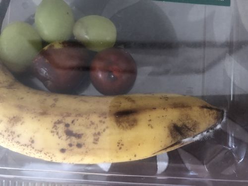 食物发霉的过程