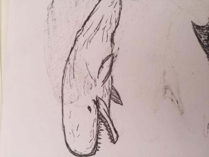 方舟自创生物梅尔维尔利维坦鲸