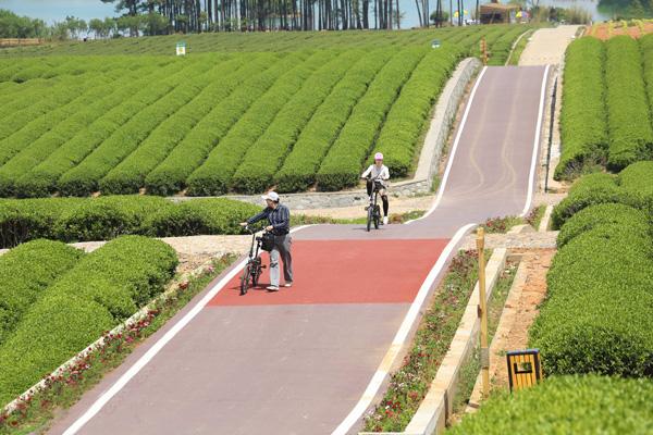 周末适合放松的地方,去龙池山自行车公园骑行放松心情