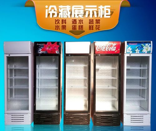 冰柜商用 展示柜 立式