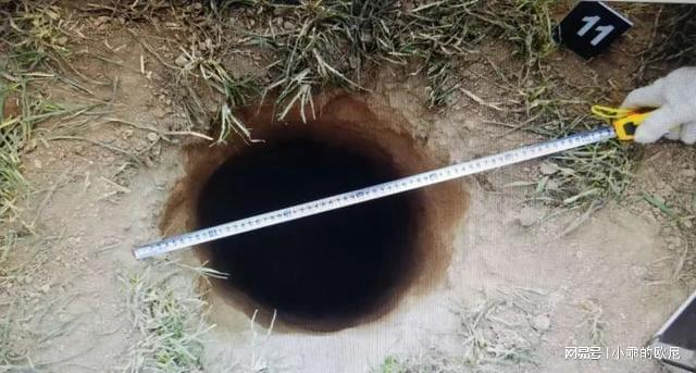 河南盗墓者窜至湖北盗墓,砸椁室头箱,取得以铜鼎为首的32件文物