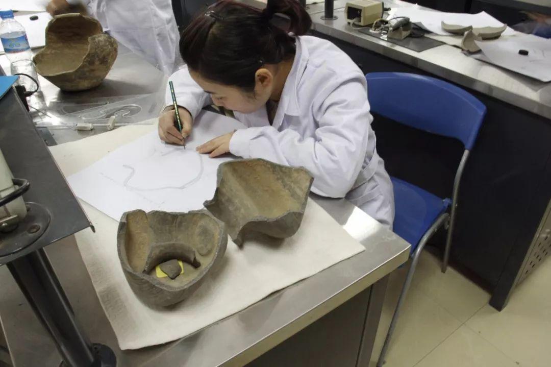 【文商学院】文物修复与保护专业