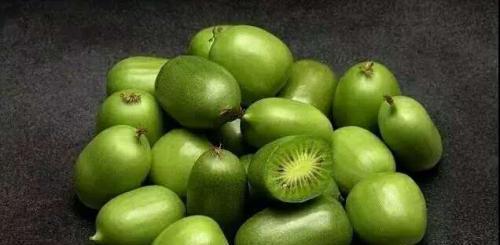 院里种点软枣猕猴桃果树,一公一母成对养,结果更多,还能当盆景