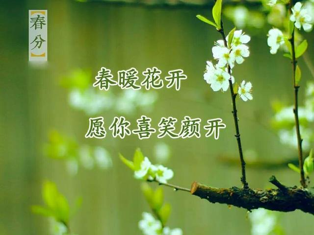 春分日唯美祝福句子,祝你幸福安康!