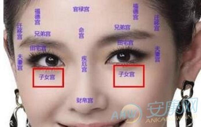 中国相术十二宫
