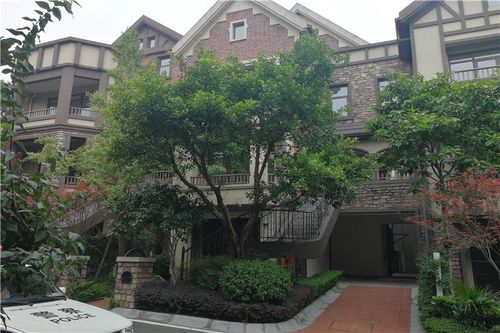 【第一次拍卖】成都市新津县花源镇丽景南路128号20栋1-3层2号房屋 不