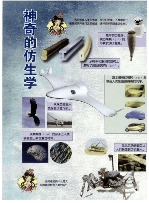 从它们那里,人类学到了很多知识并进行发明创造,这样的学问就是仿生学