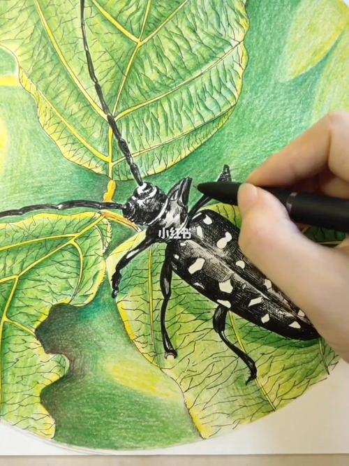 9-12岁素描/线描写生@云斑天牛_素描_美术_彩铅_中性笔_少儿美术_知识
