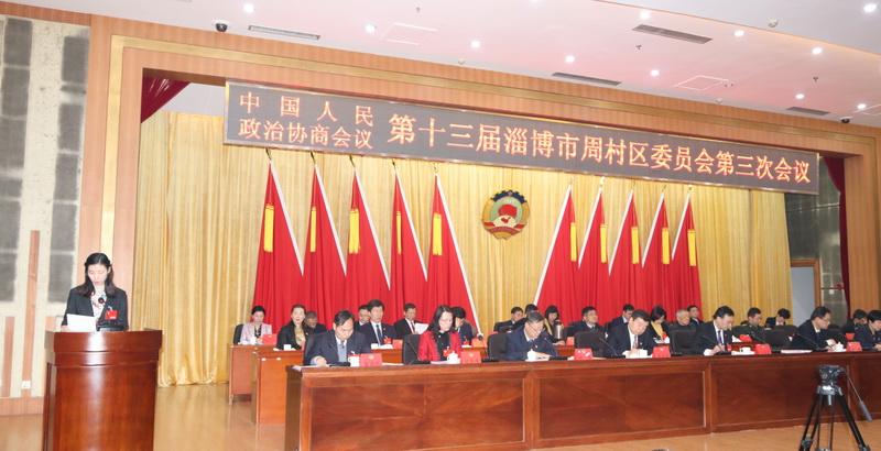 周村区政协十三届三次会议开幕,区委书记沙向东作重要
