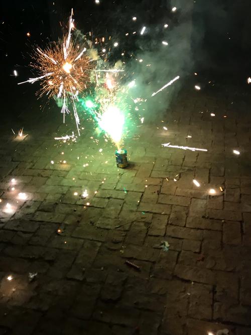 除夕夜放鞭炮,鞭炮太危险,我就只敢看这小礼花