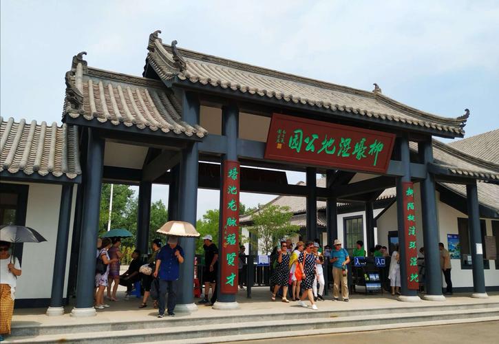 游辽阳柳壕湿地公园,观盛开荷花绽放.