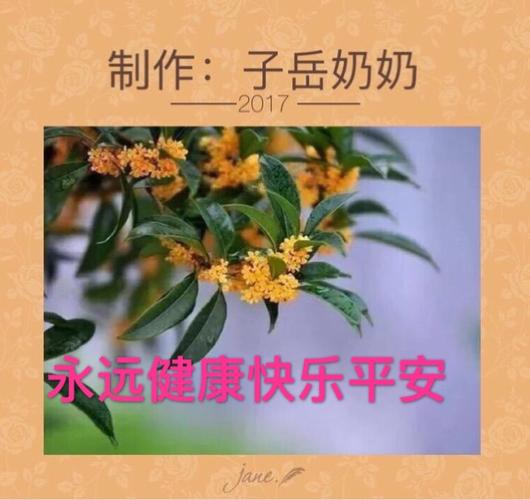 我们是一家人愿我们姐妹兄弟永远健康平安幸福!