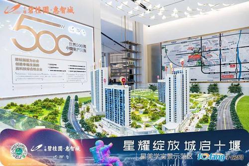 十堰碧桂园·惠智城"星"美学实景示范区震撼开放,圈粉无数!