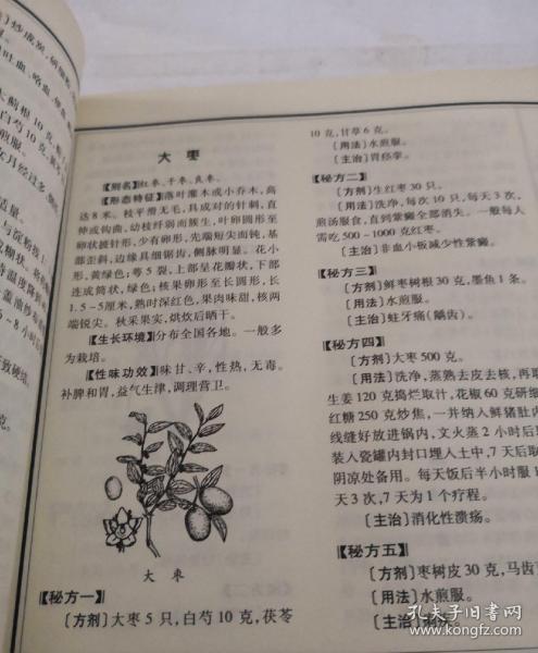 中国百草全书(图文珍藏版)