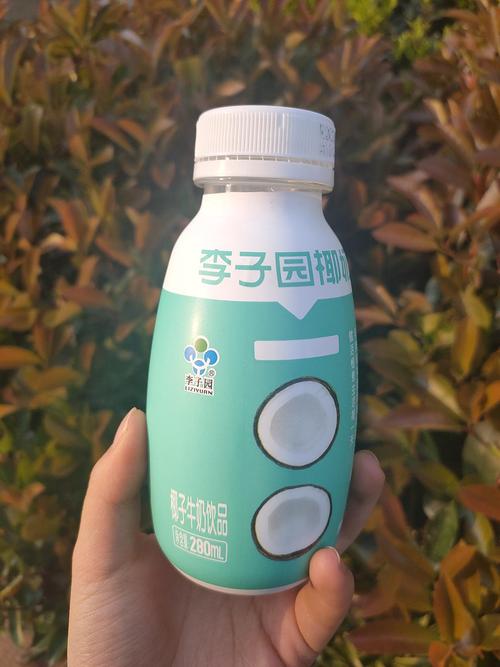 李子园椰奶真不戳