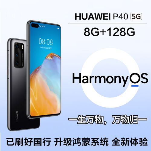 [已刷好国行 可升级鸿蒙]华为(huawei) 华为p40 5g全网通 8gb 128gb