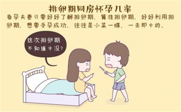 排卵期同房,就一定能怀孕