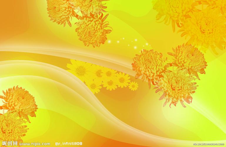 菊花背景图片