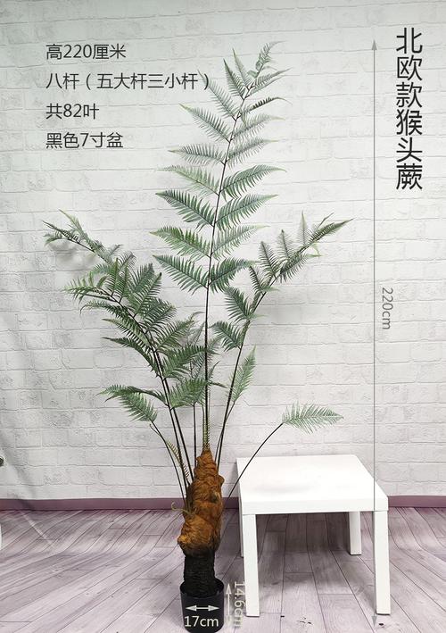 全国包邮猴头蕨植物盆栽金丝猴草假树室内禅意绿植摆件家居饰品