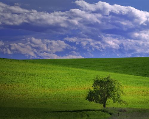 风光合集壁纸48151280x1024