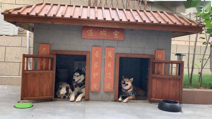 豪华狗窝:中式泳池豪宅,田园风情别墅,三层跳台别墅,人看了都想住!