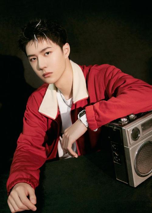 热烈红色渲染少年恣意盎然 王一博红衣造型九宫格大片惊艳亮相