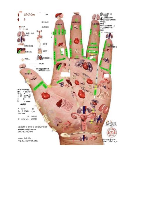全息手穴位图docx6页