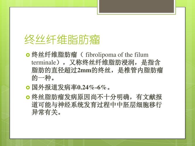 终丝纤维脂肪瘤ppt