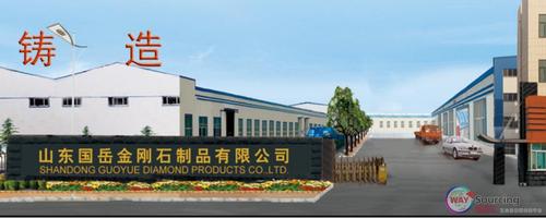 山东国岳金刚石制品有限公司