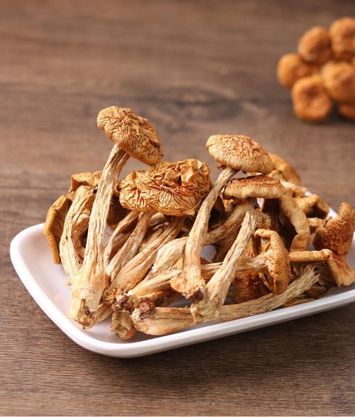 2021东北大兴安岭野生滑子菇干货小黄磨滑菇香菇小鸡炖蘑菇煲汤一斤两