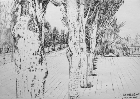 就是画画儿的事情没晒,这里晒一下:上半年画了82幅钢笔画,比去年全年