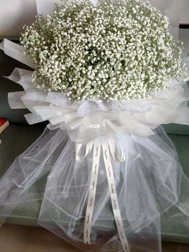 白色满天星_满天星_文雅花卉攻略_花束_花卉_满天星花束_家居家装