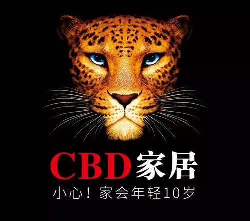 欧派的"看不懂"与cbd家居的"看不懂"到底差在哪里?