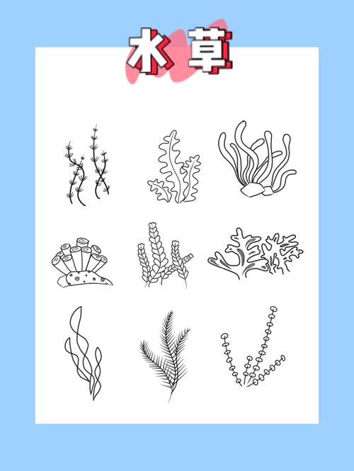 零基础简笔画儿童画-水草_简笔画_海草_儿童画_画画_文化_绘画