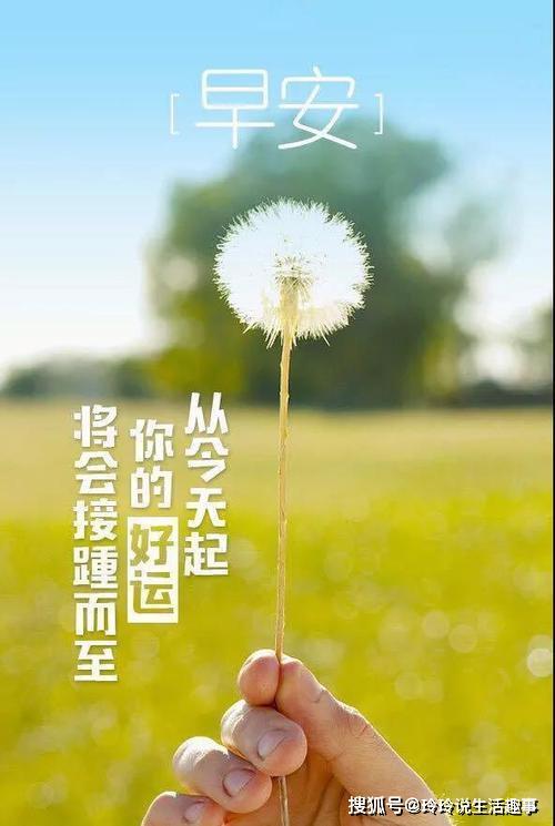 2020年努力奋斗的句子