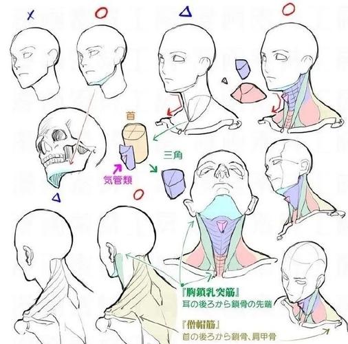绘画教程女团同款直角肩如何画好人物头颈肩关系