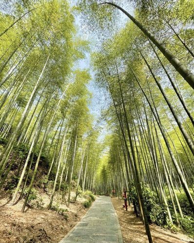 幸福之行-rx5 plus伴我游常州天目湖南山竹海(三)