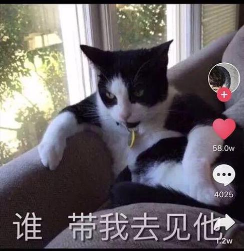 (抖音表情包58.0w点赞,链接由粉丝提供)