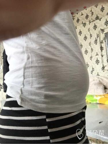 大家看看我的肚肚是不是很大呢
