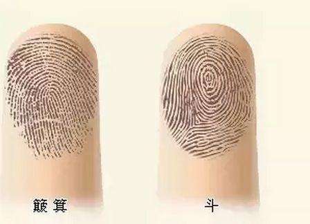 簸箕