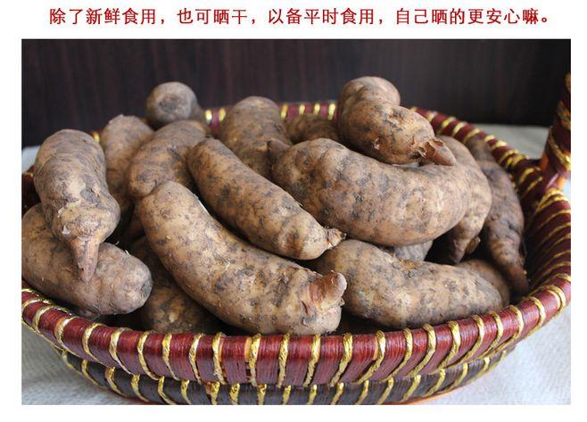 新鲜天麻 云南昭通小草坝天麻 仿野生天麻 林下天麻250克【图片 价格