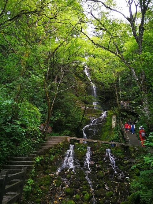 神农架,深山幽谷探秘寻雪人;襄阳城,汉江水畔美酒遇故