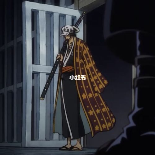 海贼王和之国篇|头像_海贼王_头像分享_素材_头像