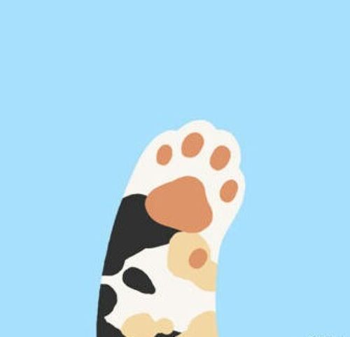 可爱猫爪头像.