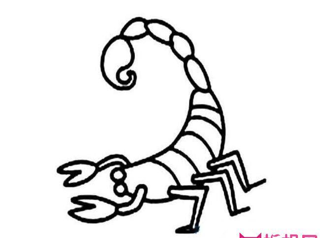 蝎子简笔画图片大全,简单的蝎子画法