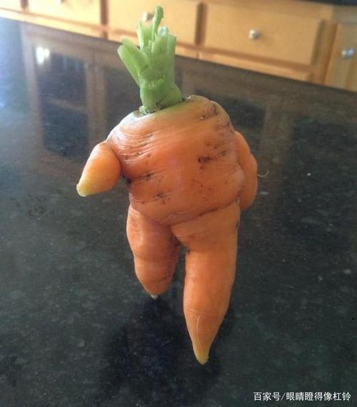 那些疑似因为受到核辐射而产生变异的植物们