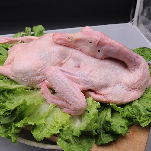 鸭子正宗农家散养草鸭白条生肉新鲜冷冻老鸭鸭肉